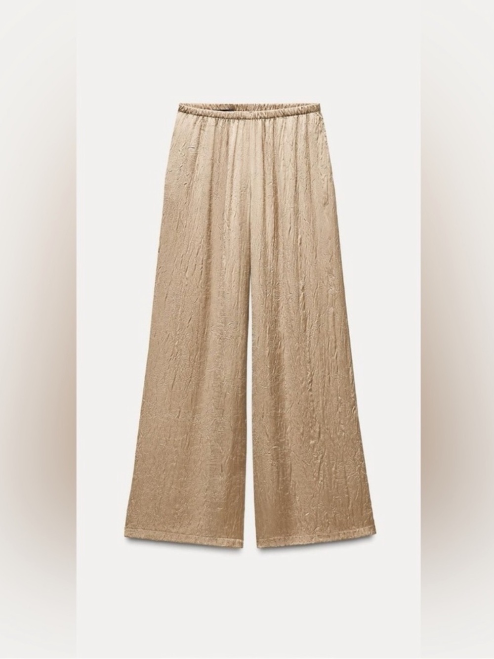 Zara Wide Leg Pants in Beige